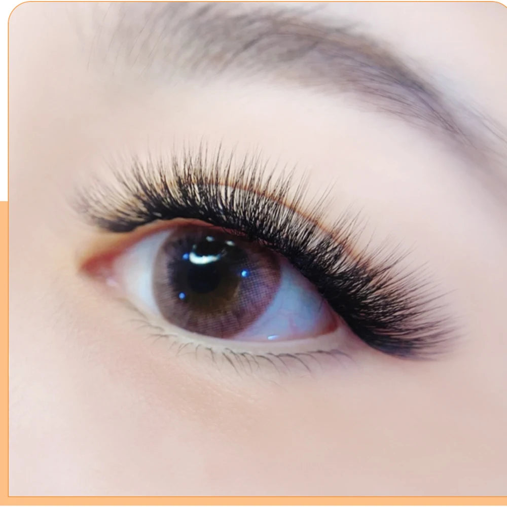 Thick Black Matte Eyelash